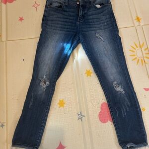 Judy Blue Midnight Distressed Skinny Jeans